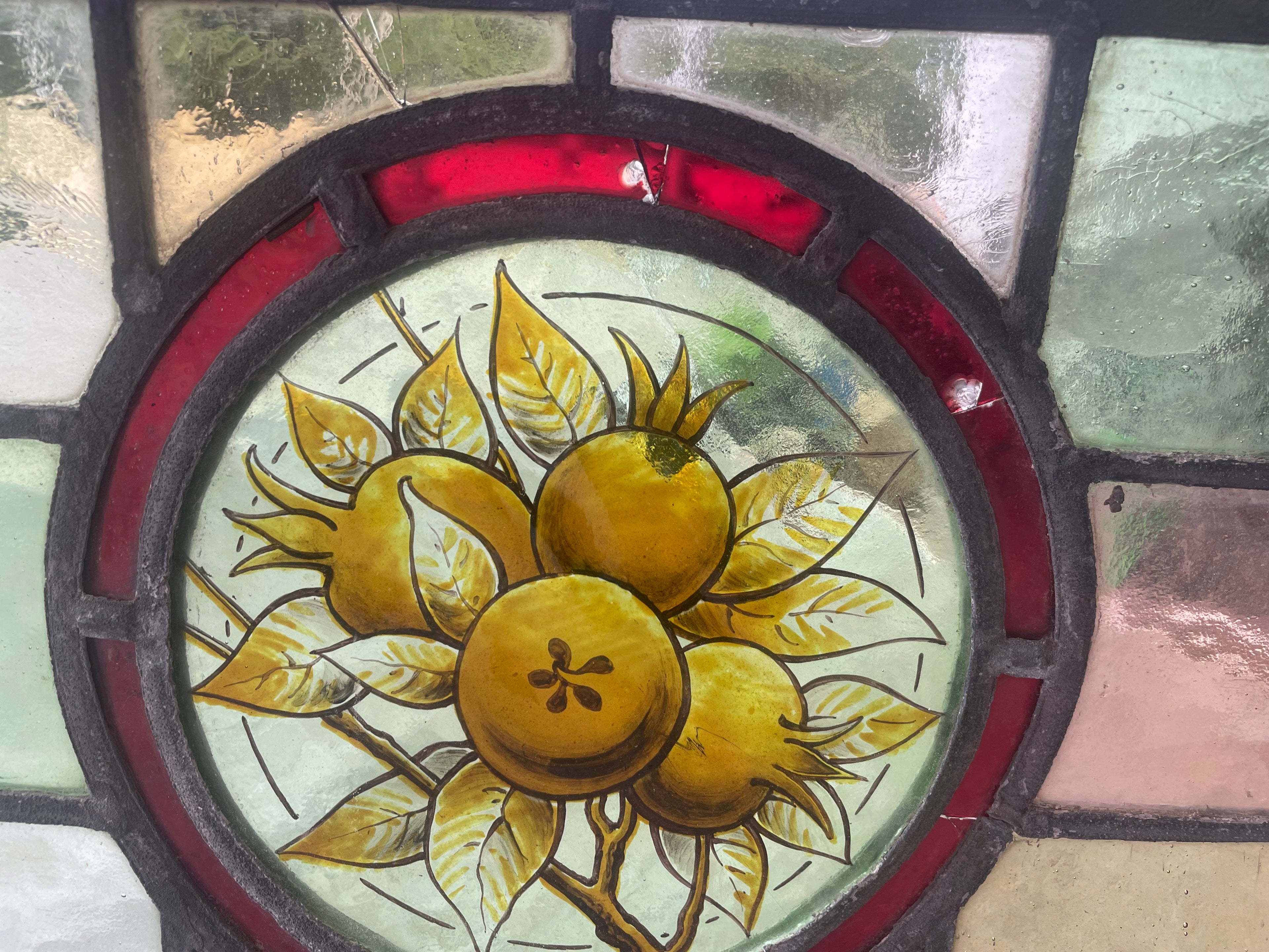 Antique British Stained Glass Fruit Roundel Panel - c.1890 | 25 x 63cm