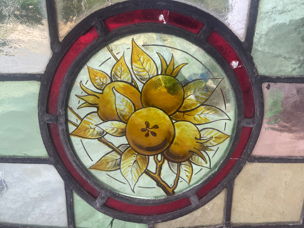Antique British Stained Glass Fruit Roundel Panel - c.1890 | 25 x 63cm