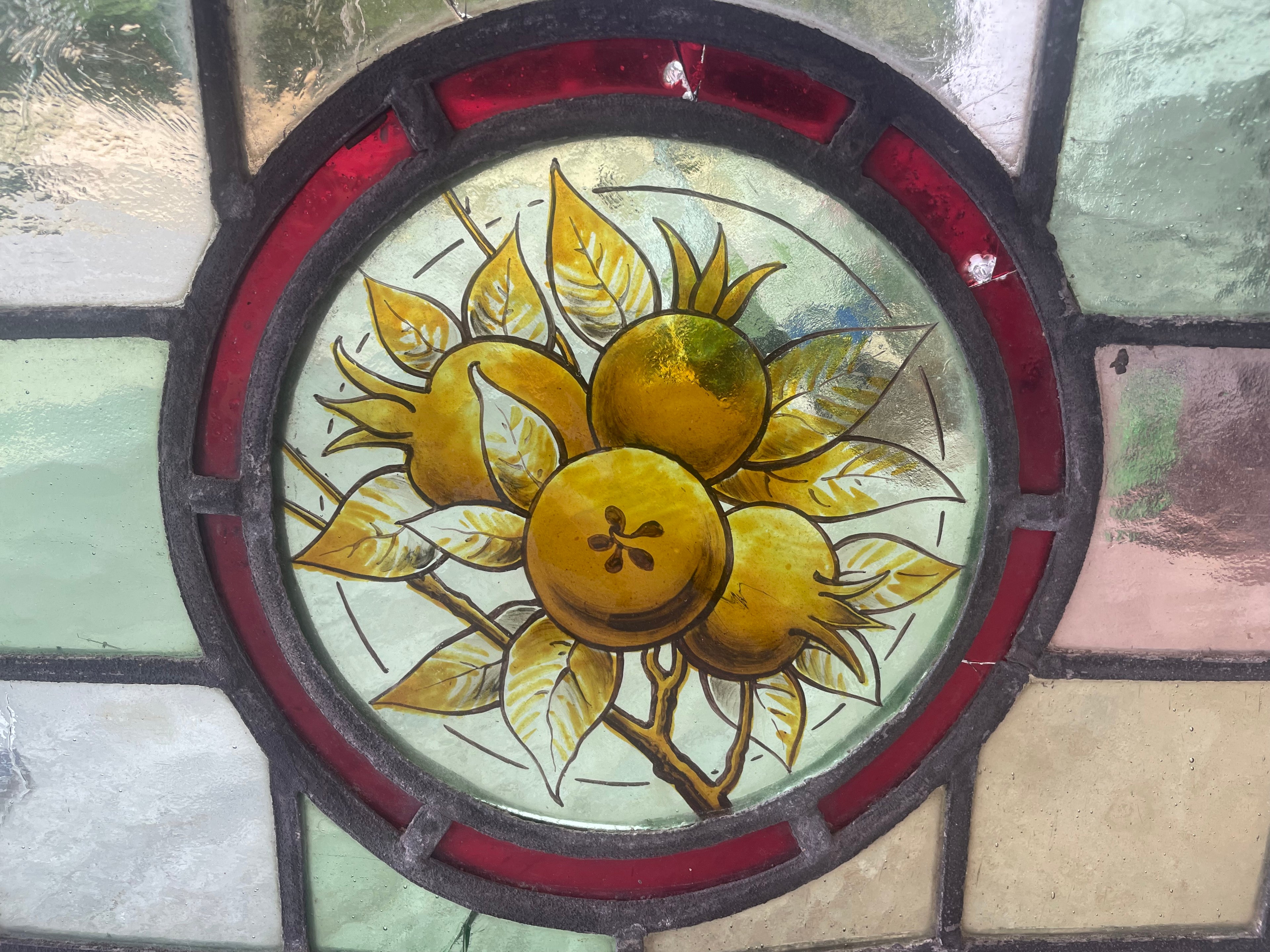 Antique British Stained Glass Fruit Roundel Panel - c.1890 | 25 x 63cm