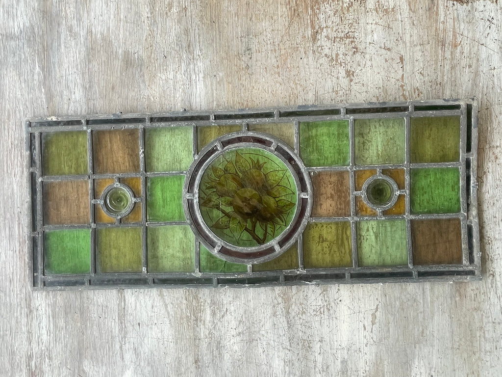 Antique British Stained Glass Fruit Roundel Panel - c.1890 | 25 x 63cm