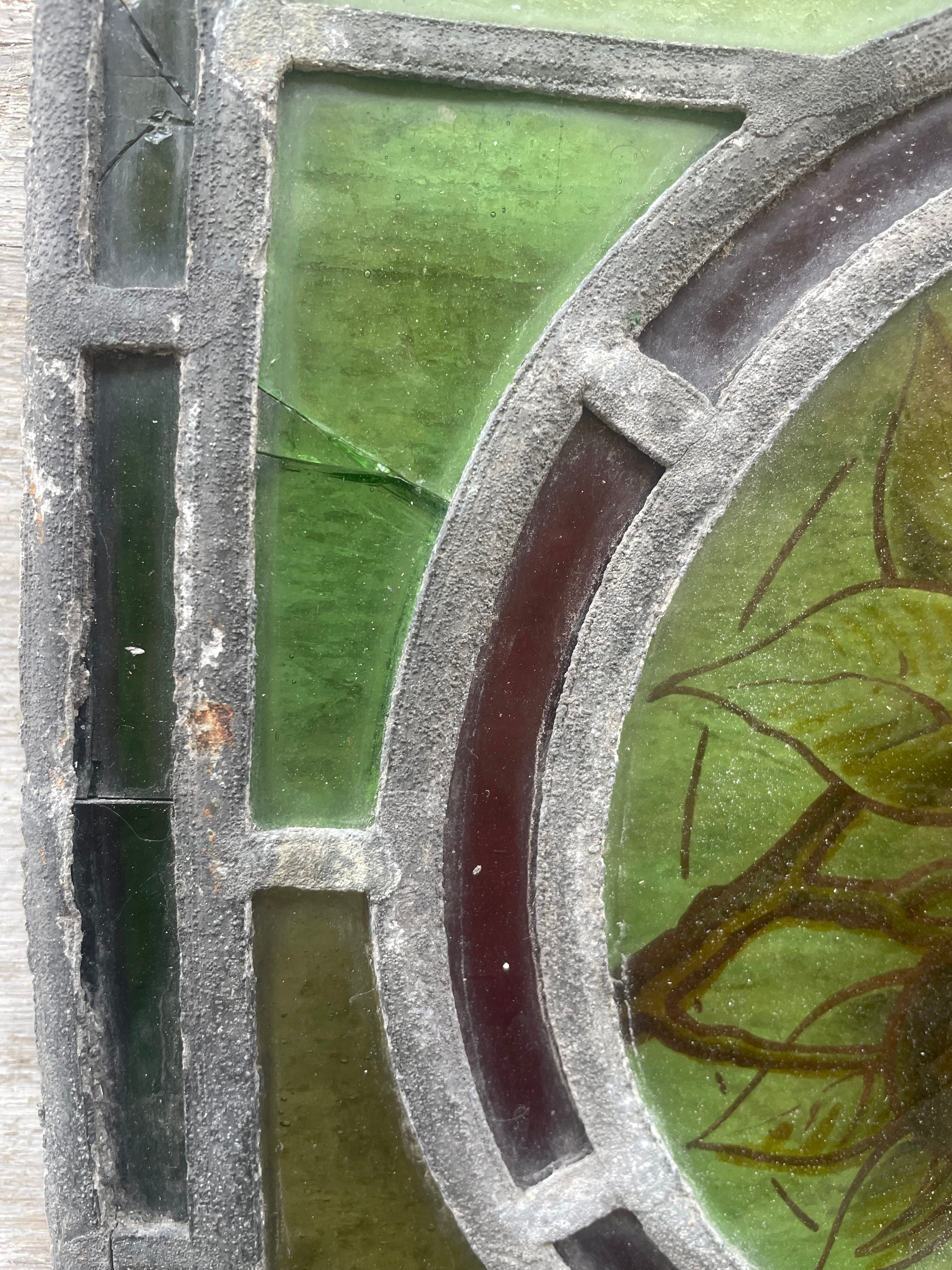 Antique British Stained Glass Fruit Roundel Panel - c.1890 | 25 x 63cm