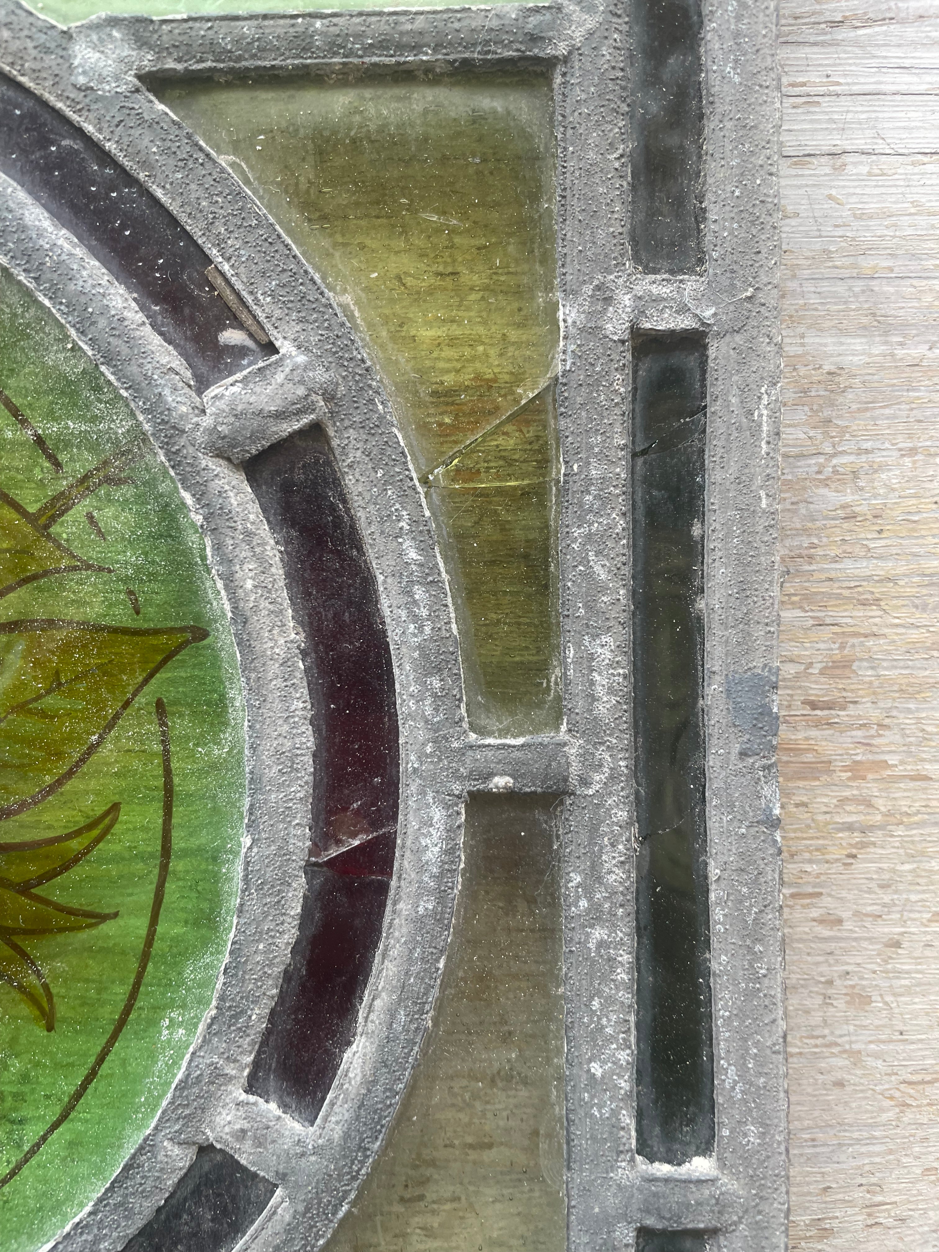 Antique British Stained Glass Fruit Roundel Panel - c.1890 | 25 x 63cm